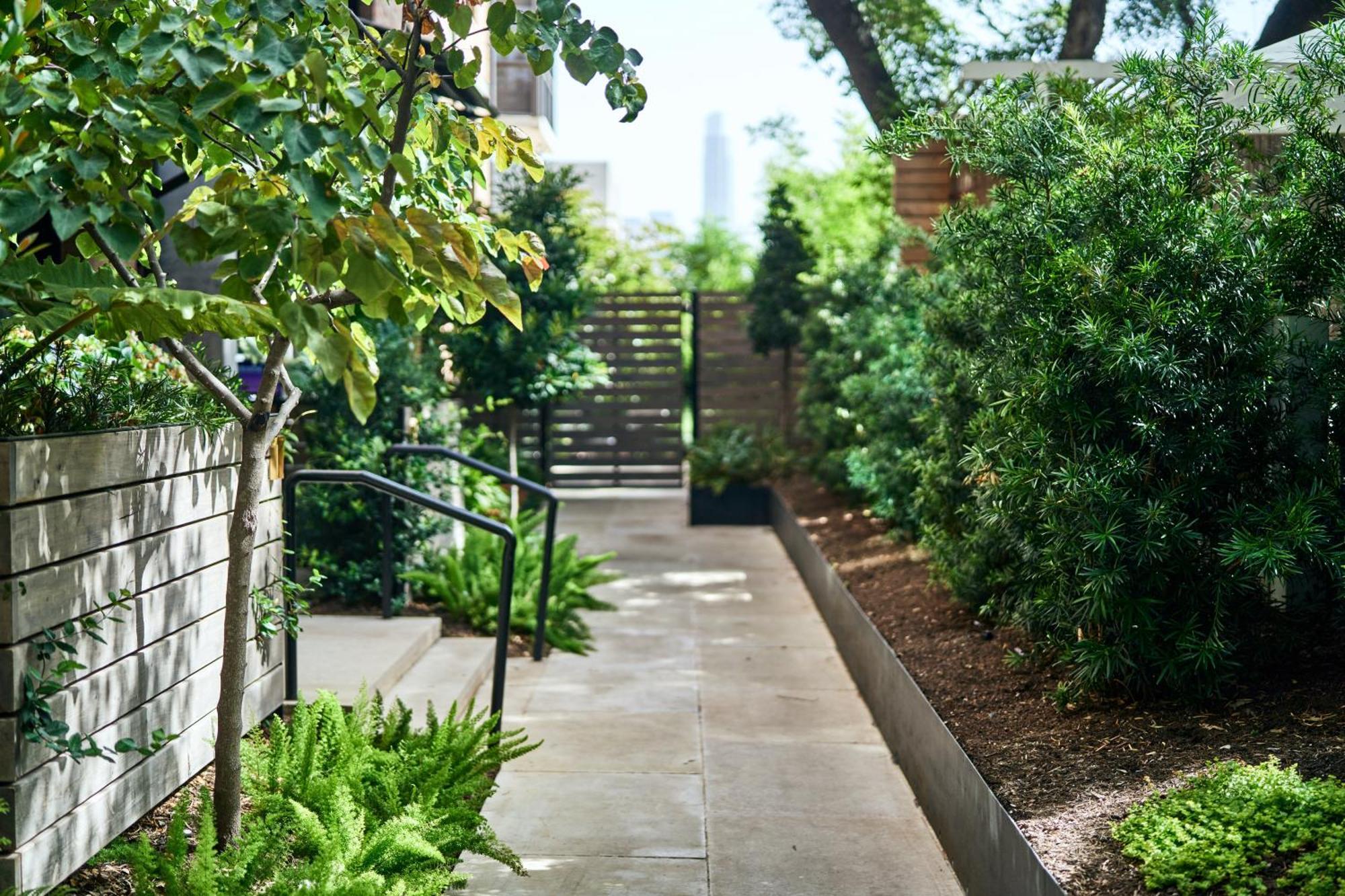 Hotel Saint Cecilia Austin Luaran gambar